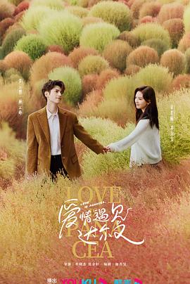 兰州优化网站哪家好